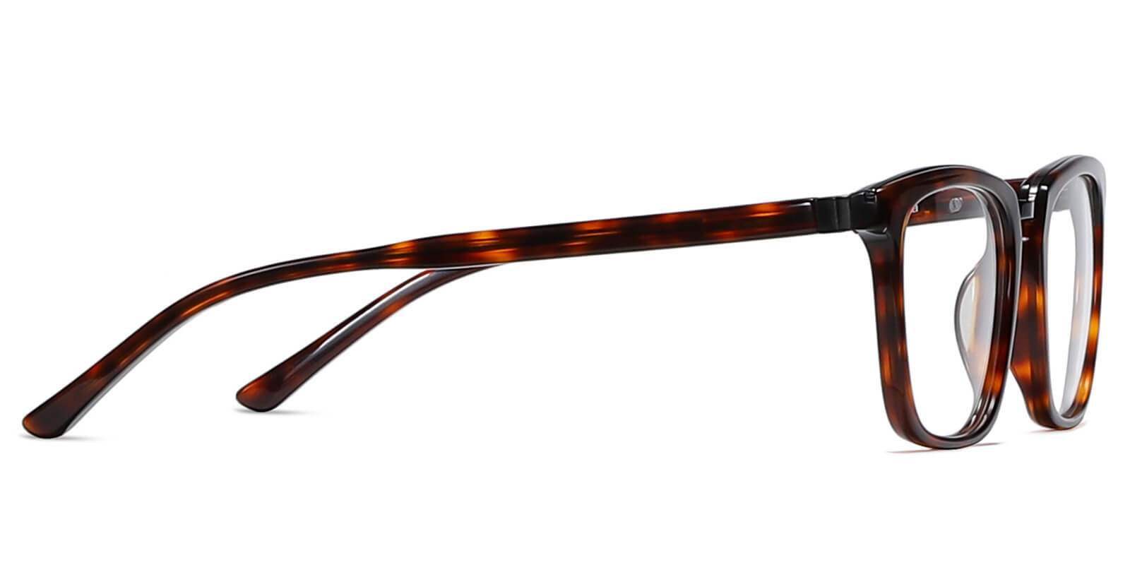 EYE8068-Diven-schildpatt