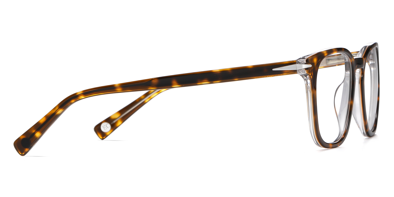 8896TO-Gaise-schildpatt