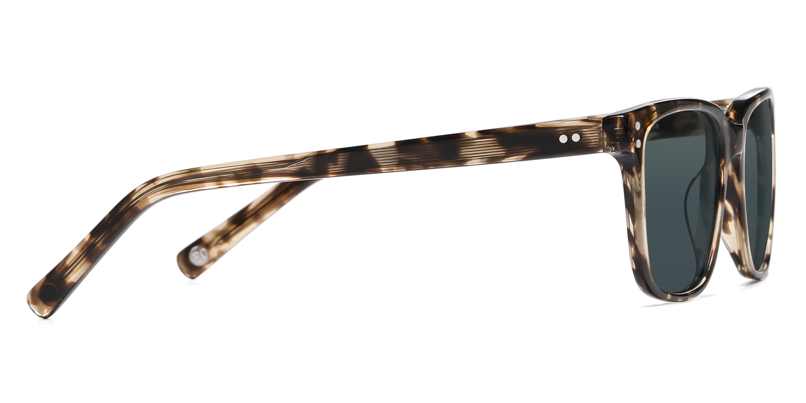 S8986TL-Ogens-schildpatt