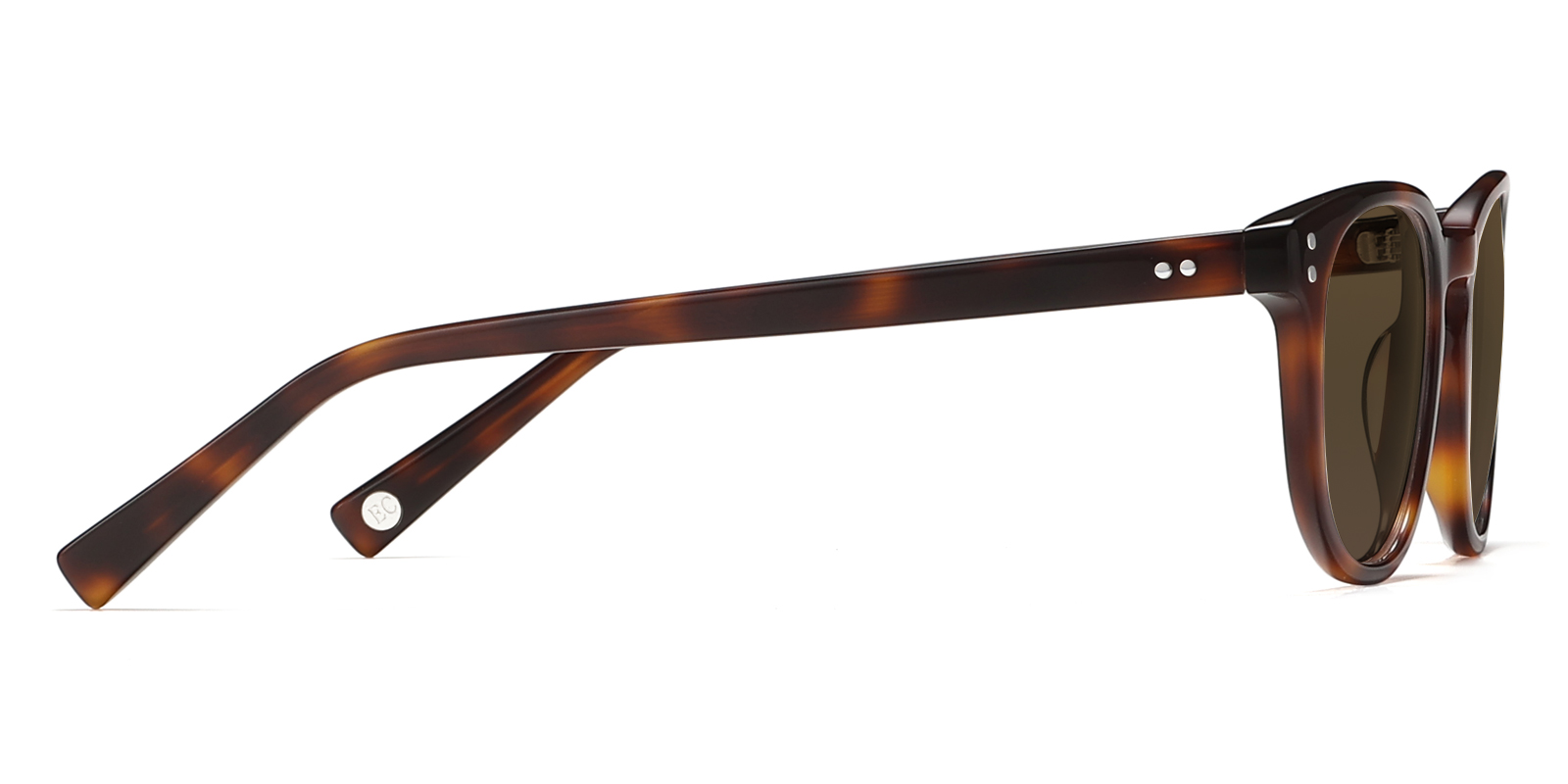 S8995TL-Kodie-schildpatt