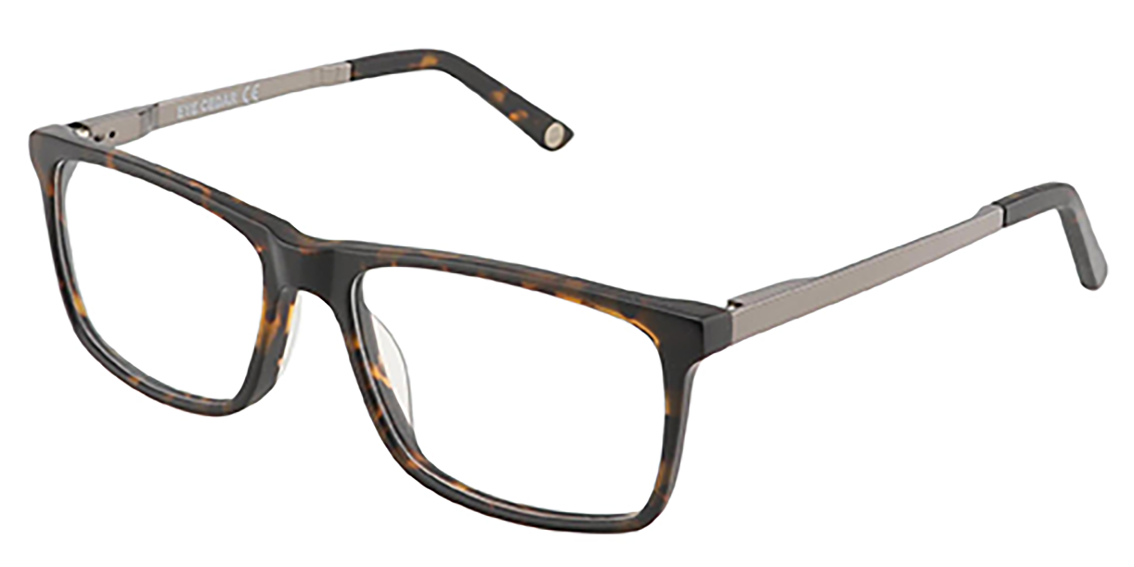 EYE8062-Bligh-tortoise